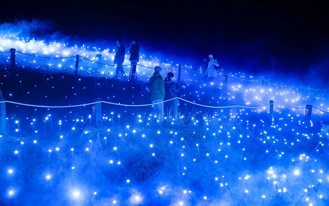 Astra Lumina at Currumbin Wildlife Sanctuary 
 Image 2