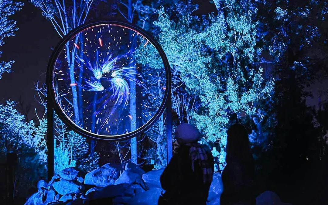 Astra Lumina at Currumbin Wildlife Sanctuary 
 Image 3