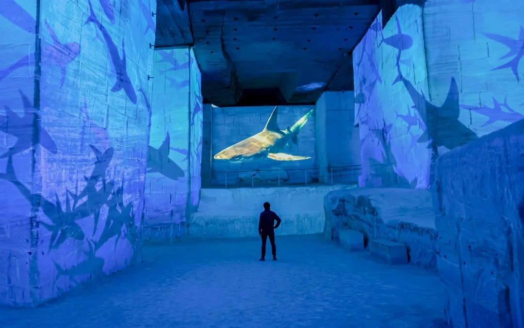 Atelier des Lumières Immersive Experience Tickets Image 7
