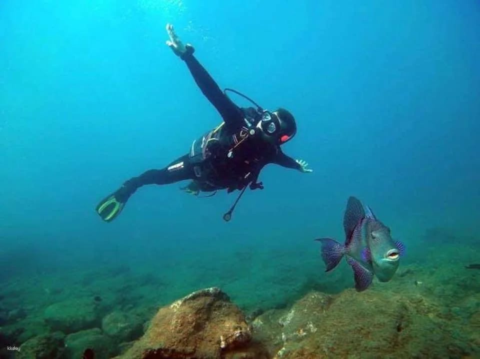 Atlantis Diving Try Dive