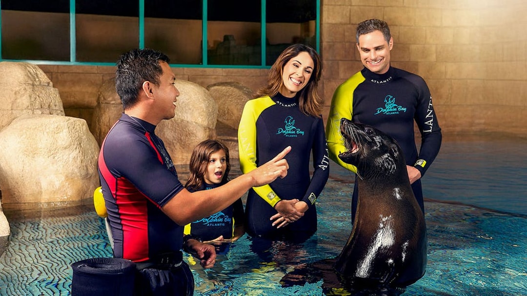 Family with instructor interacting with sea lion at Atlantis, Dubai.