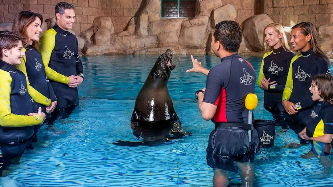 Group interacting with sea lion and instructor at Atlantis experience, Dubai.