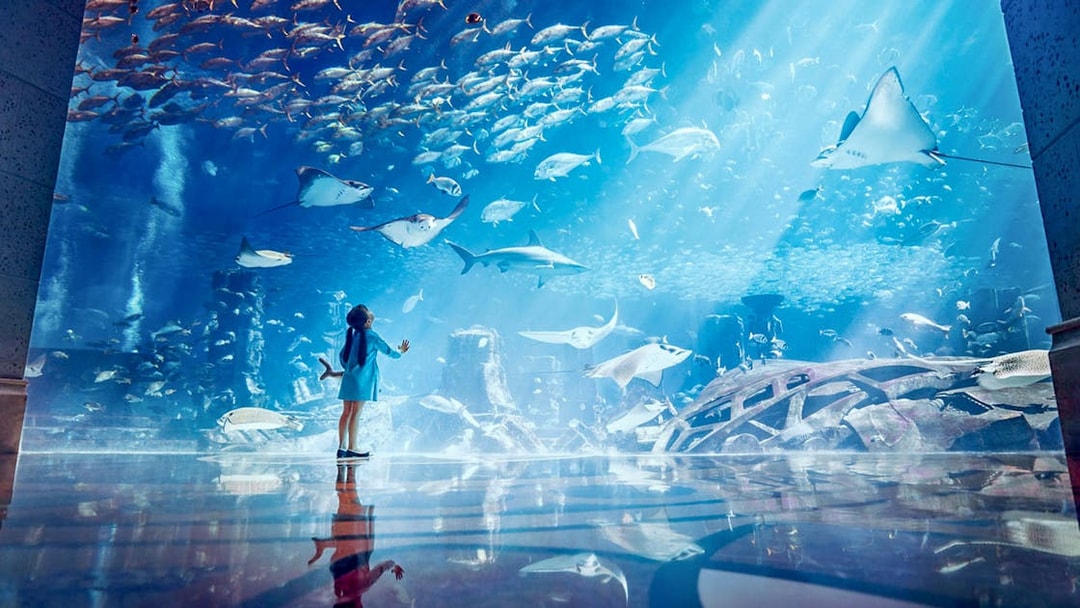 Kids observing marine life at Ambassador Lagoon Aquarium.