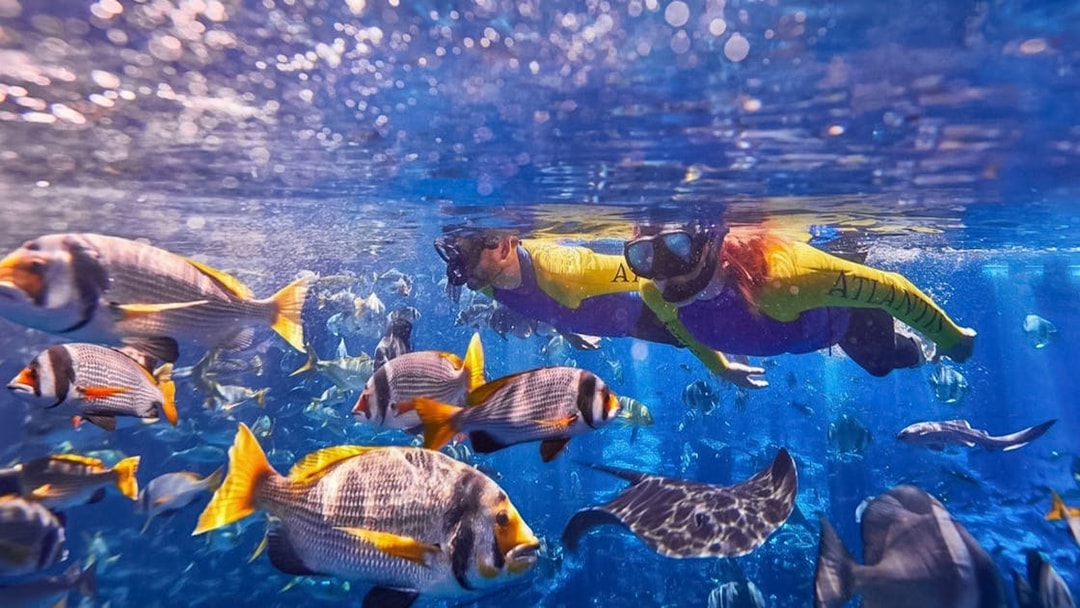 Couple snorkeling among colorful fish at Atlantis.