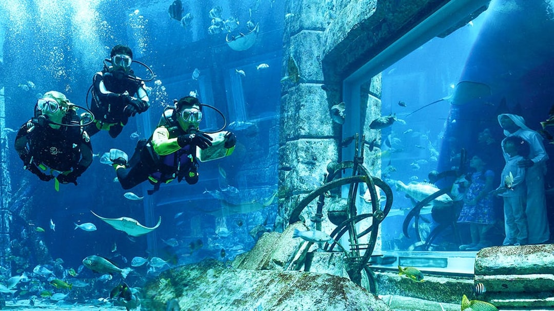 Scuba divers exploring underwater ruins at Atlantis with marine life.