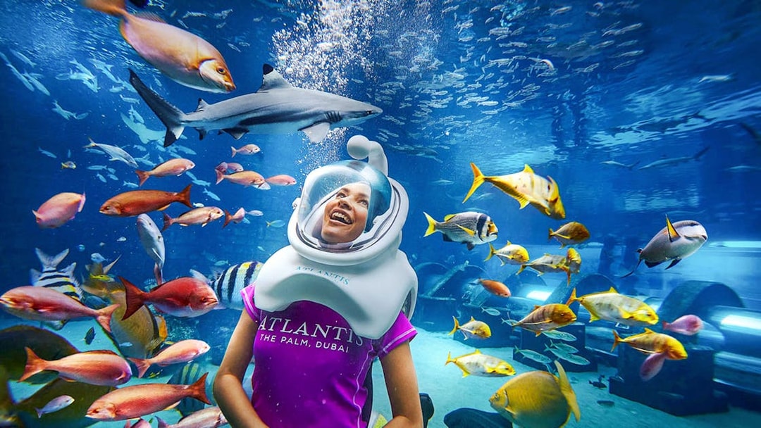 Tourist scuba diving with fish at Atlantis, The Palm, Dubai.
