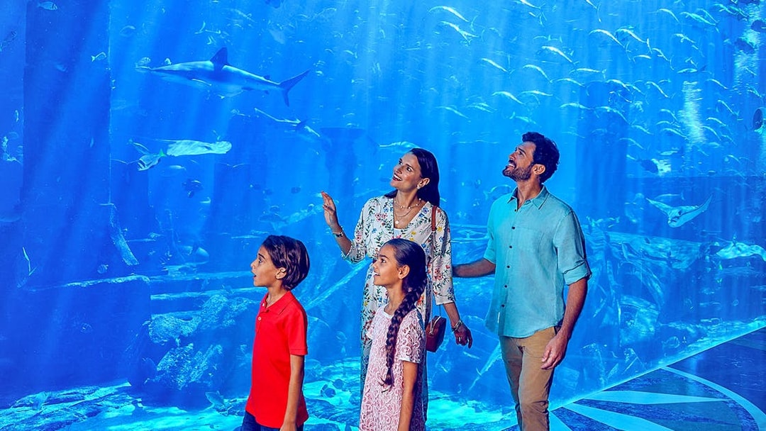 Family exploring Ambassador Lagoon Aquarium with marine life in view.