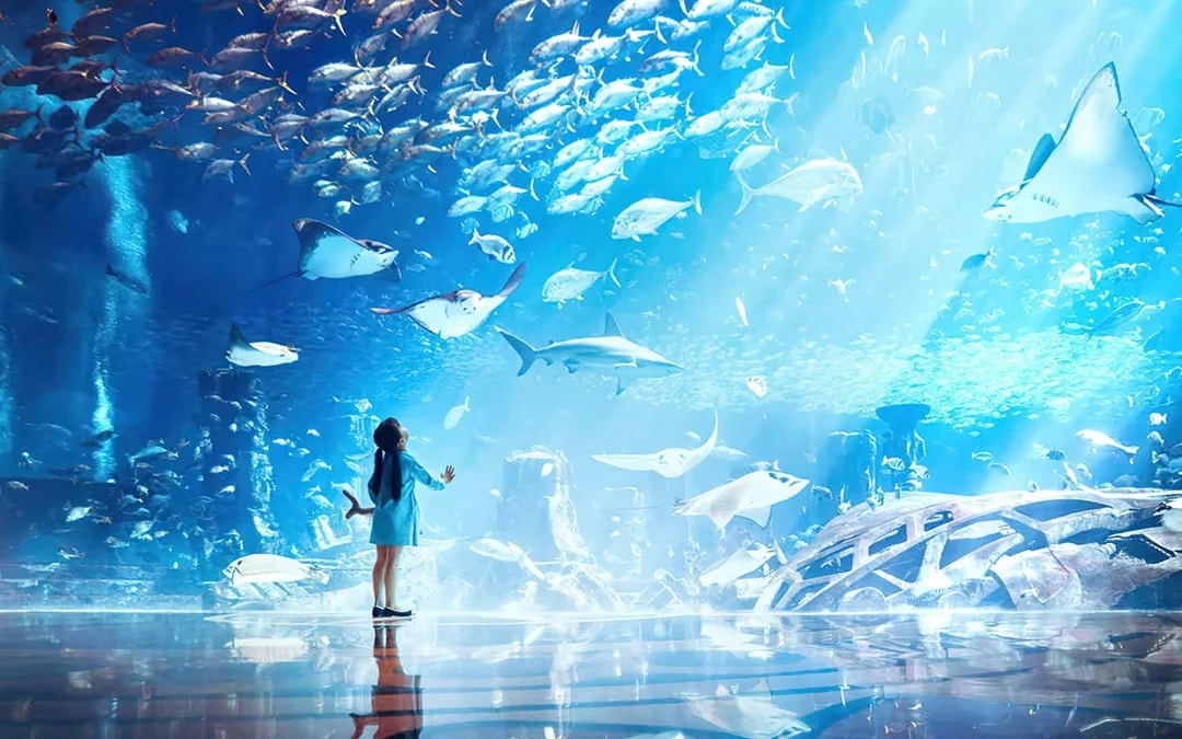 Atlantis The Palm Dolphin Kayak or Paddle Tickets Image 7