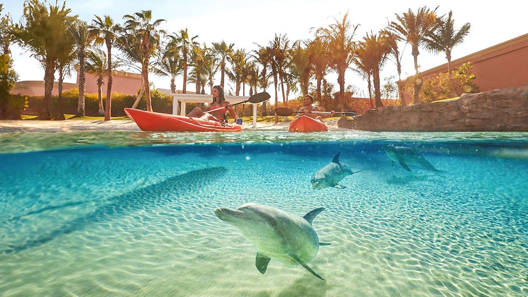 Kayaking with dolphins at Atlantis The Palm, Dubai.