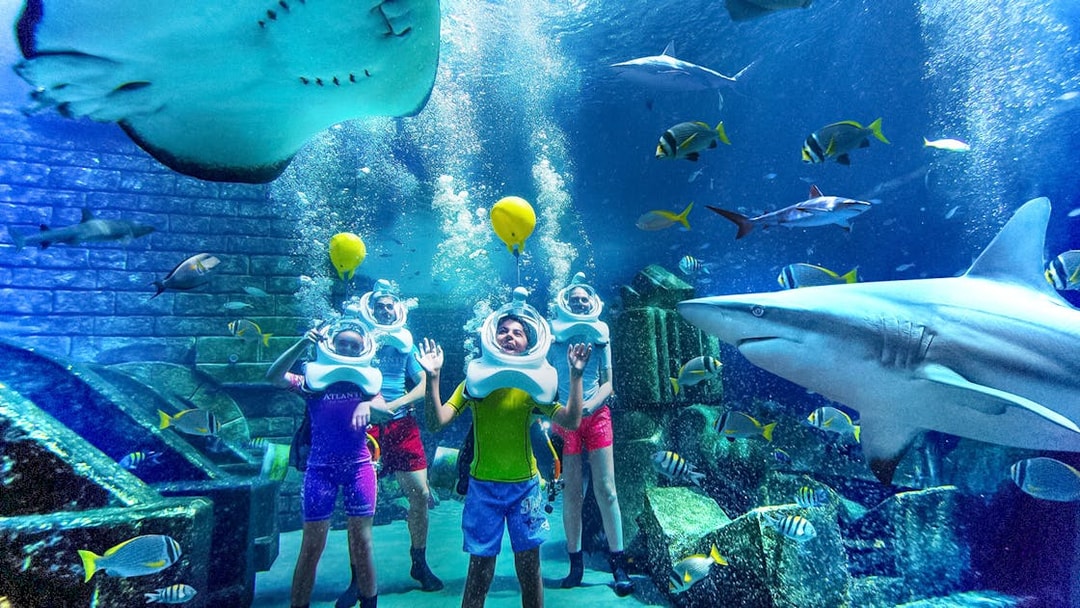 Visitors in diving helmets explore Shark Lagoon at Aquaventure Waterpark, surrounded by sharks and fish.