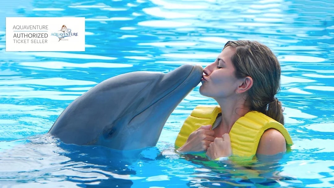 Dolphin interaction at Aquaventure, woman kissing dolphin in pool.