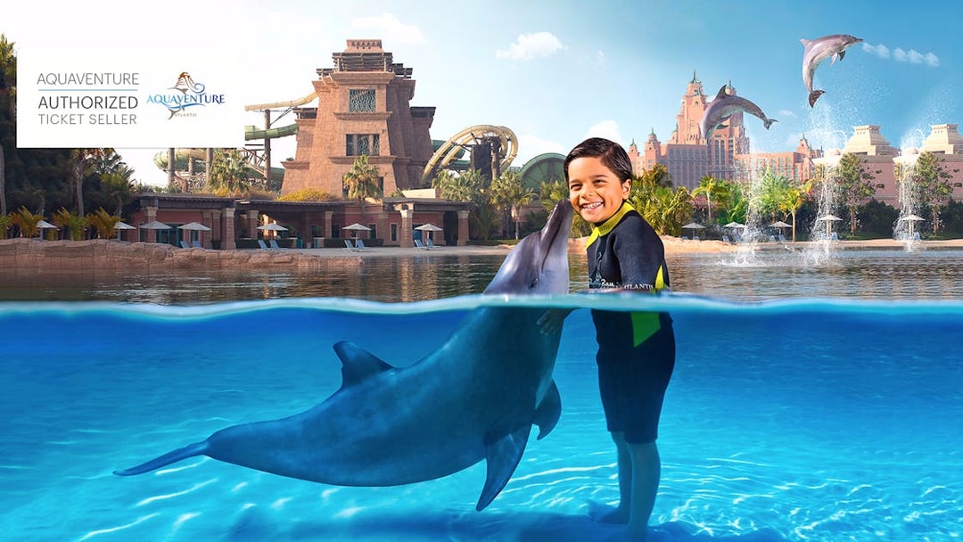 Child interacting with a dolphin at Aquaventure Waterpark, Atlantis, with slides and fountains in the background.