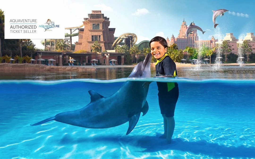 Atlas Village: Atlantis Dolphin Meet & Greet Image 3