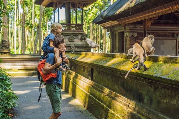 Best ATV Quad Adventure with Ubud Highlight Tours