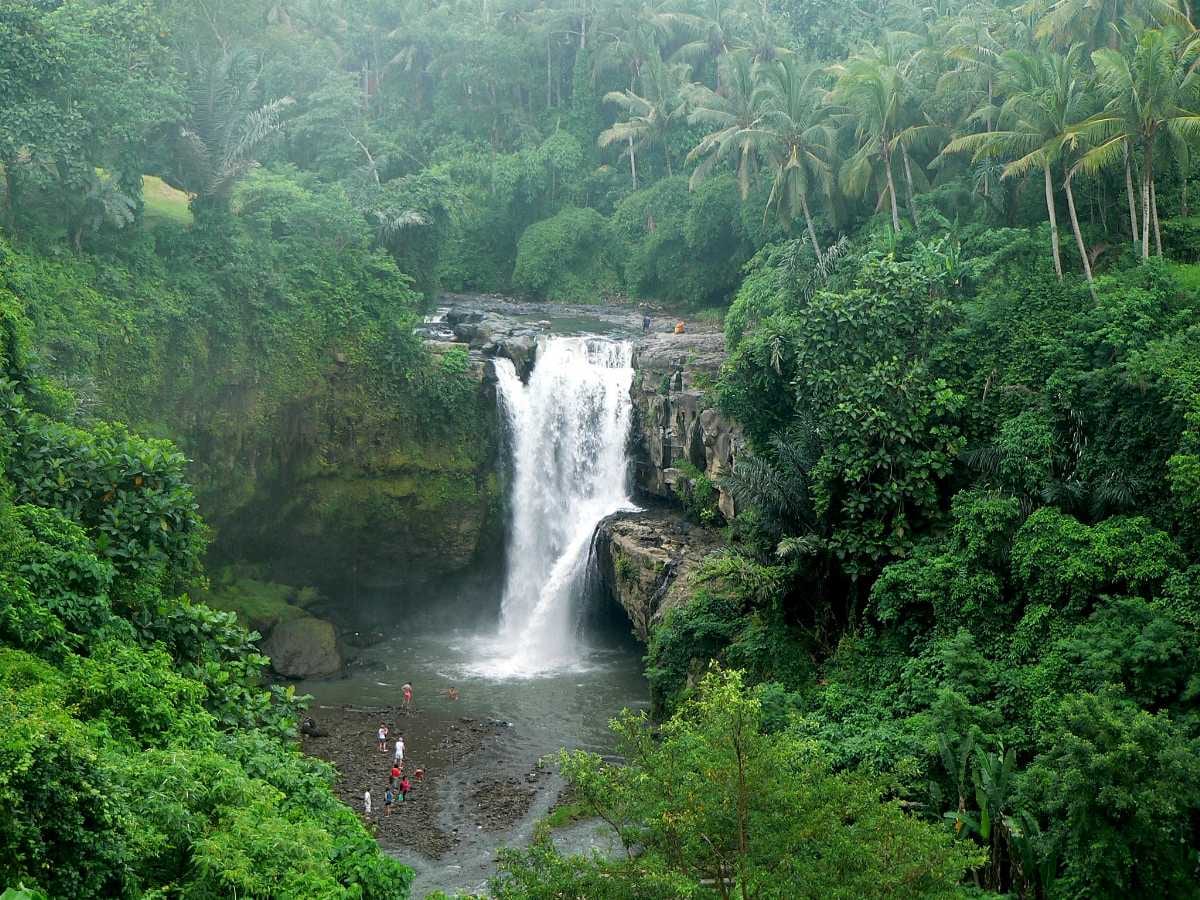 Best ATV Quad Adventure with Ubud Highlight Tours