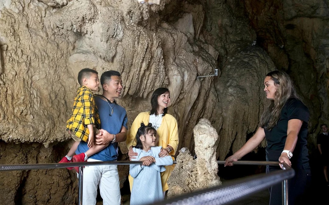 From Auckland: Hobbiton Movie Set Signature Tour and Waitomo Caves Guided Tour with Lunch Image 6