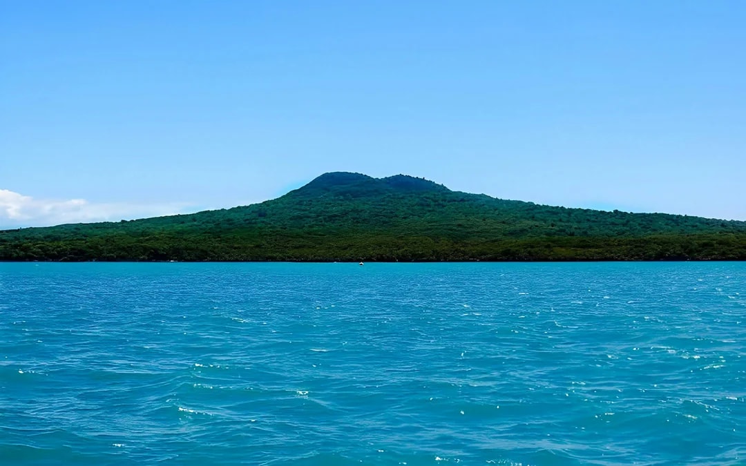 Auckland Scenic Harbour Cruise with Live Commentary Image 5