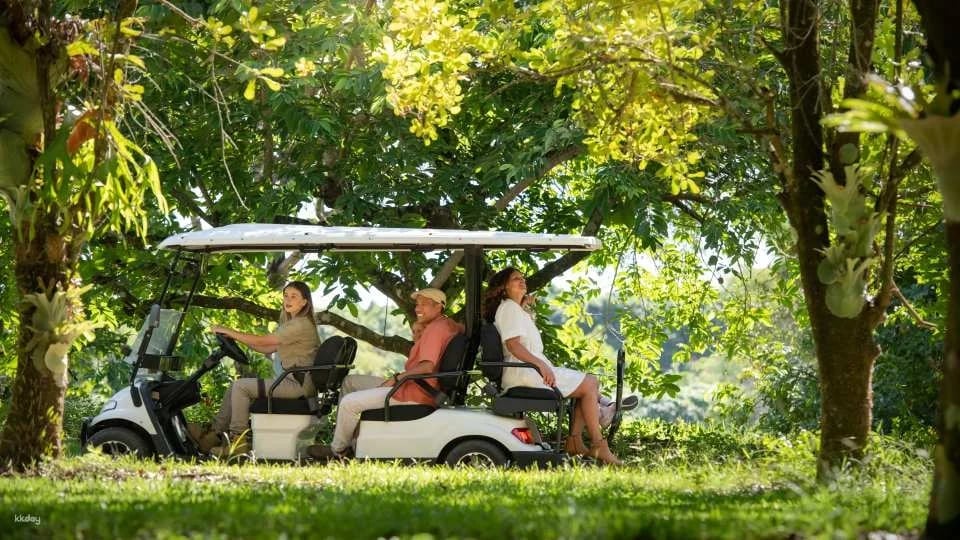Australia Zoo Entry with Brisbane City Transfers | Australia