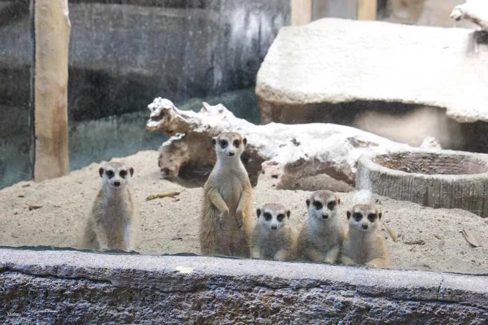 Avilon Zoo in Manila | Phillippines