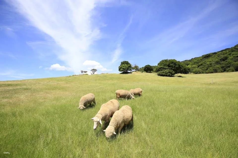 Awaji Farm Park England Hill Ticket | Official Retailer | Hyogo