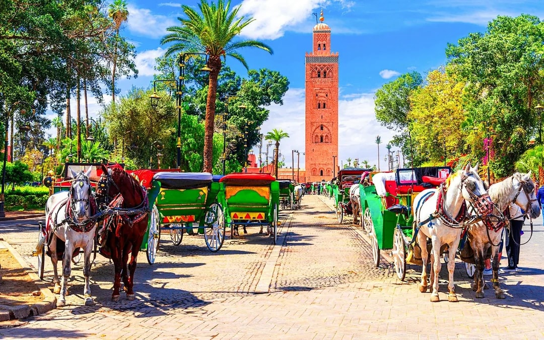 Bahia Palace, Saadian Tombs, Koutoubia and Souks Guided Tour Image 6