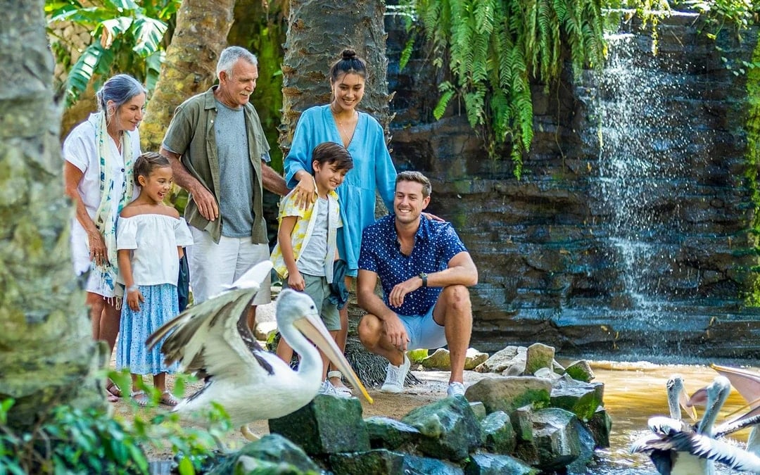 Bali Bird Park Entry Tickets + Lunch with Bird Stars Image 1
