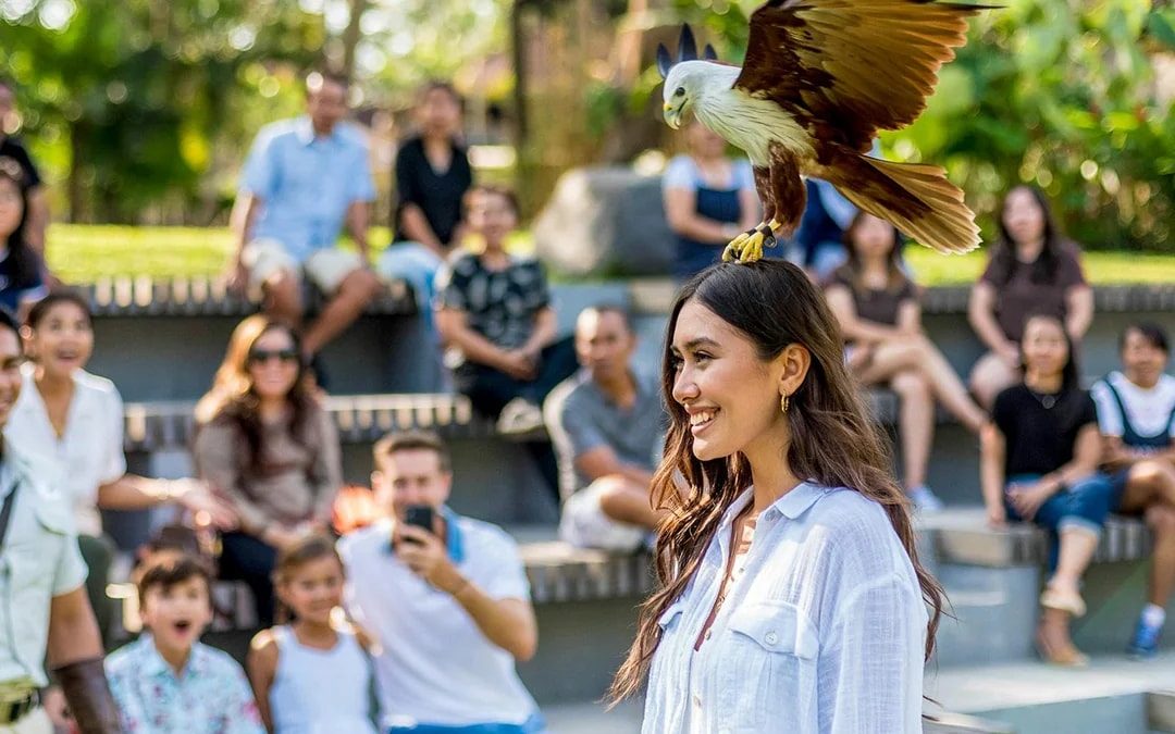 Bali Bird Park Entry Tickets + Lunch with Bird Stars Image 3