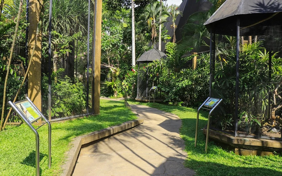 Bali Bird Park Entry Tickets + Lunch with Bird Stars Image 6