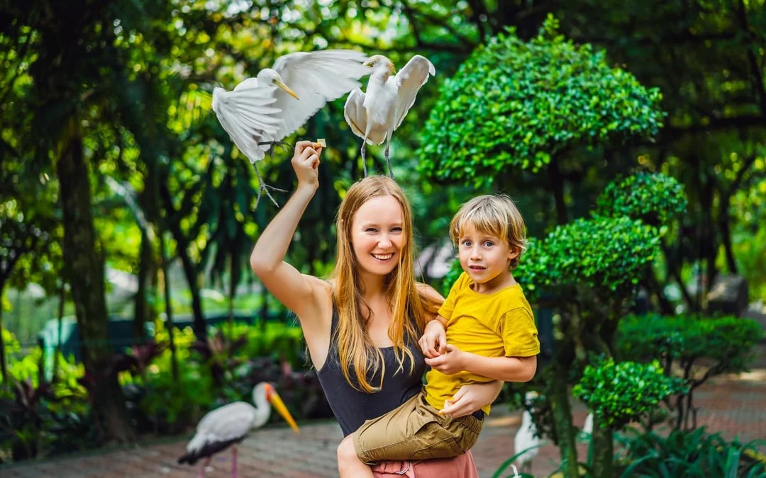 Bali Bird Park Group Saver Tickets: Group of 3 & More Image 1