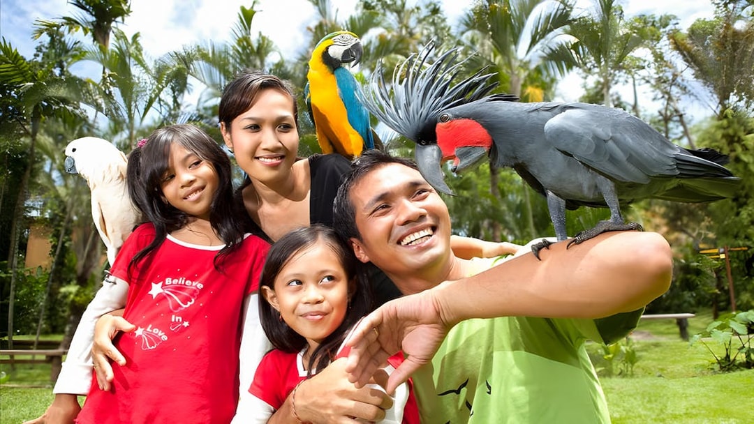 Family enjoying colorful parrots at Bali Bird Park.