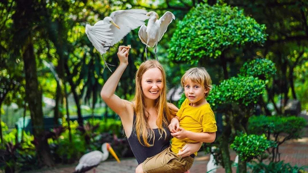 Bali Bird Park Group Saver Tickets: Group of 3 & More