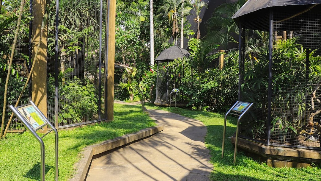 Pathway through lush greenery and bird enclosures at Bali Bird Park.