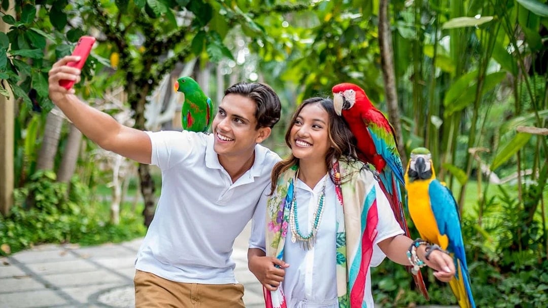 Bali Bird Park Tickets