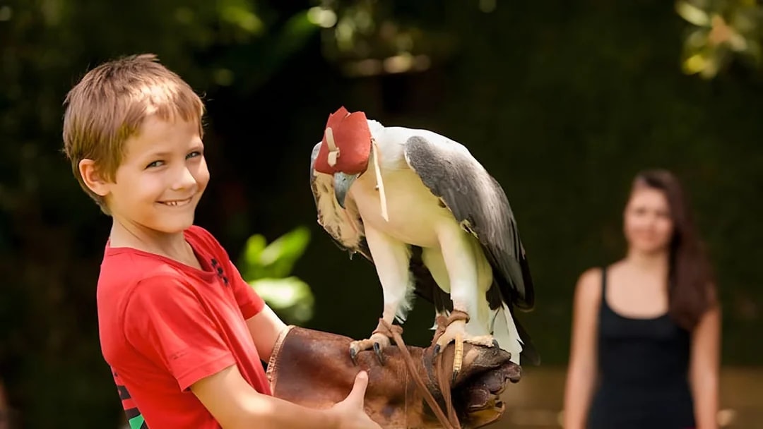 Child holding a bird at Bali Bird Park.
