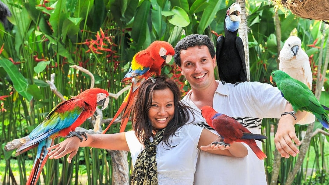 Bali Bird Park Tickets with Hotel Transfers