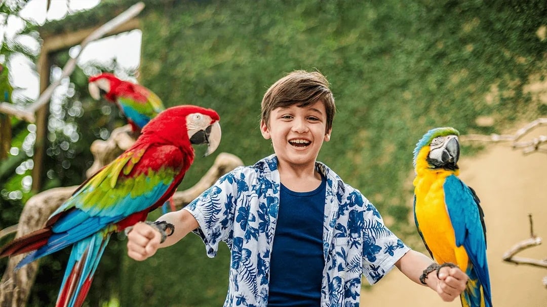 Boy smiling with colorful parrots at Bali Bird Park.