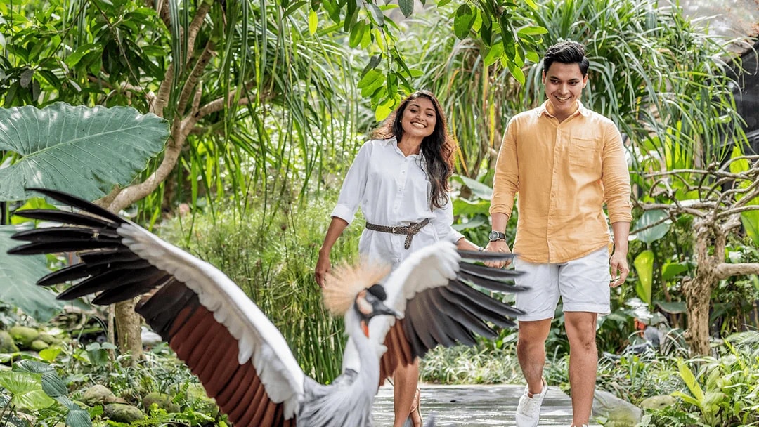 Couple walking through lush greenery at Bali Bird Park with a bird in flight.
