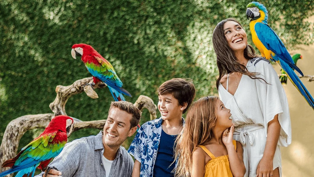 Family interacting with colorful parrots at Bali Bird Park.
