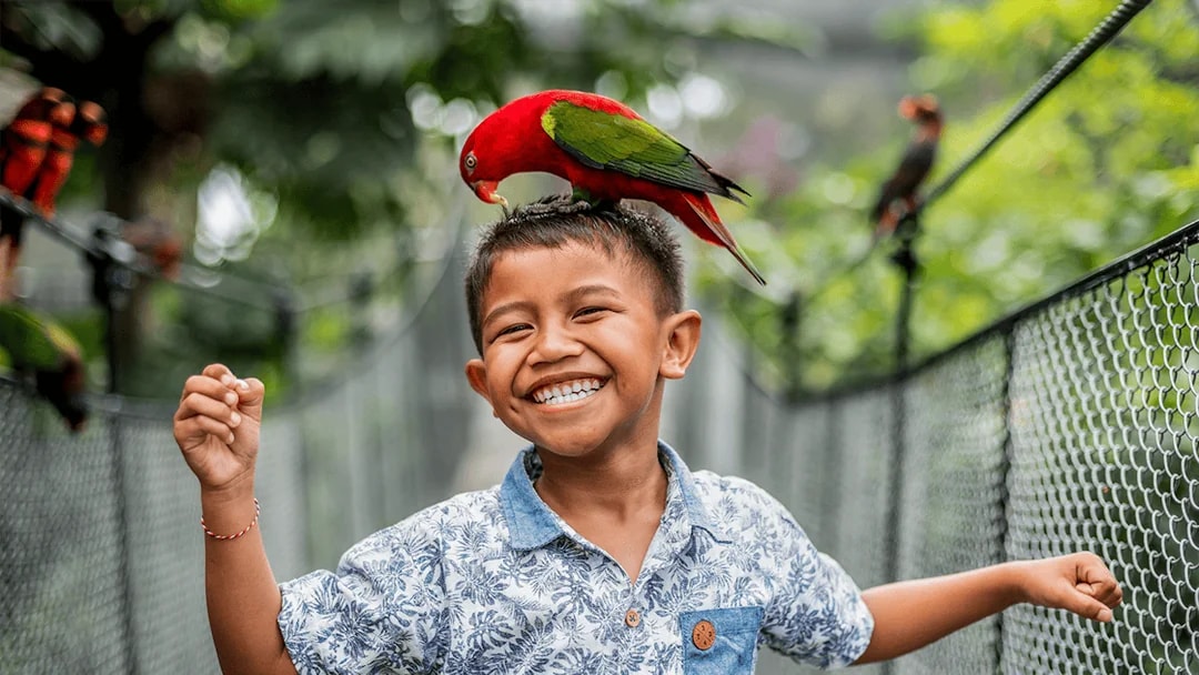 Boy smiling with a parrot on his head at Bali Bird Park.