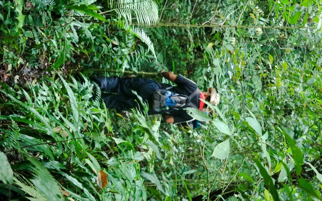 Bali Jungle Trekking, Canoeing & Waterfall Visit with Lunch and Round-Trip Hotel Transfers Image 1
