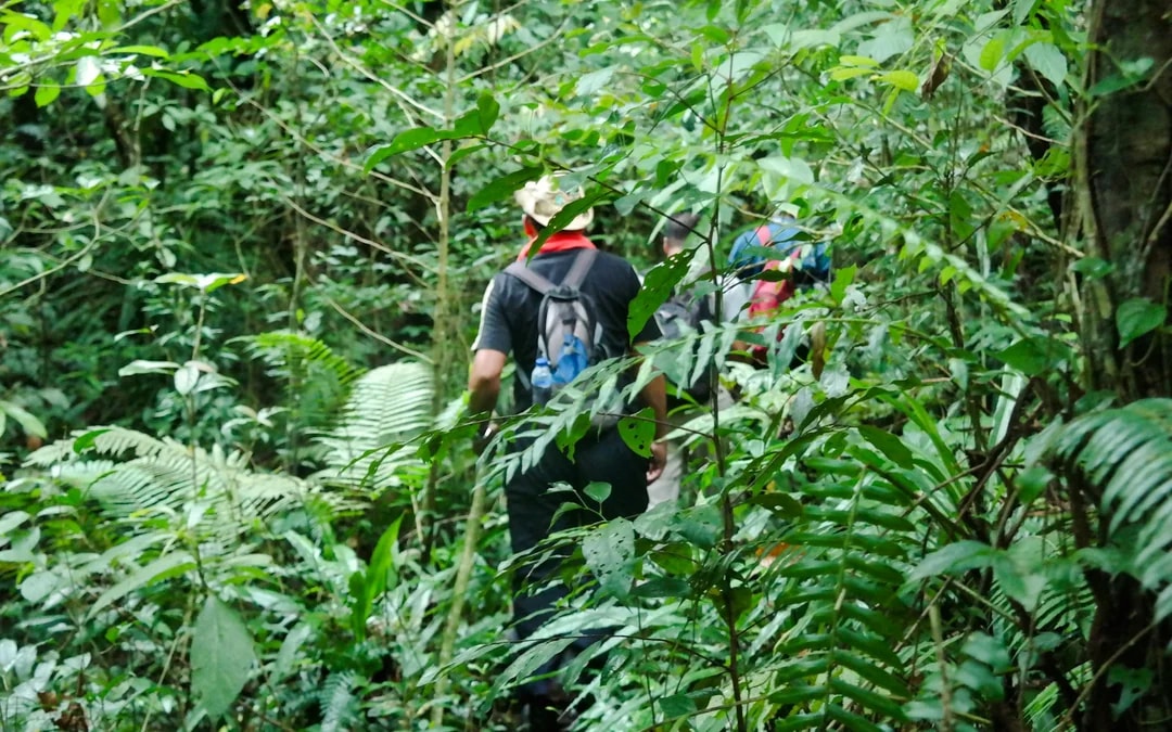 Bali Jungle Trekking, Canoeing & Waterfall Visit with Lunch and Round-Trip Hotel Transfers Image 4