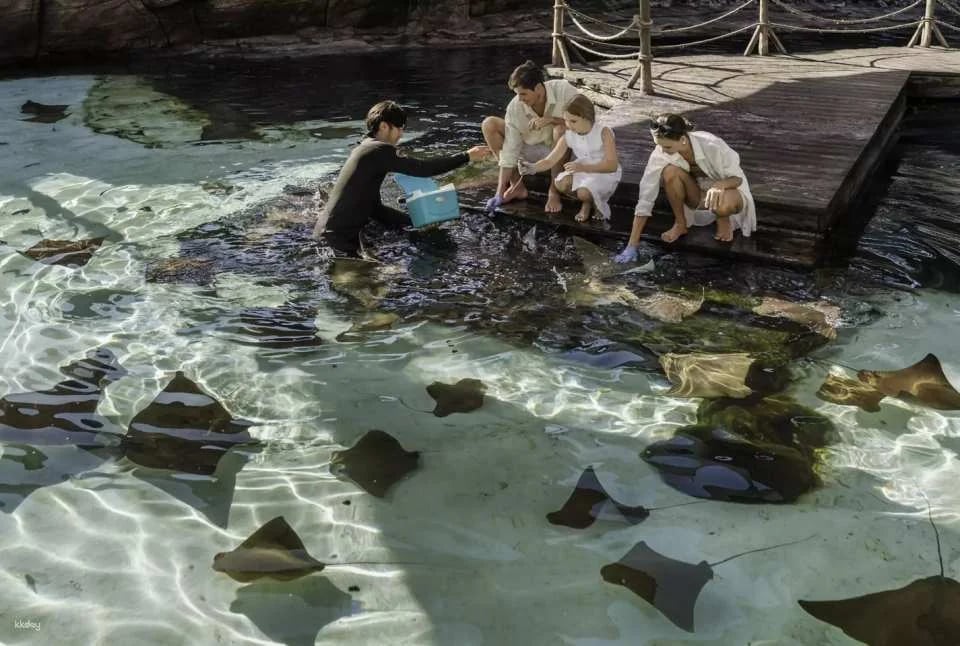 Bali Marine Safari Adventure | Interactive Marine Life Experience | Departure from Bali