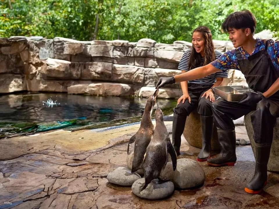 Bali Marine Safari Adventure | Interactive Marine Life Experience | Departure from Bali