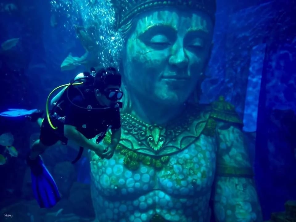 Bali Marine Safari Adventure | Interactive Marine Life Experience | Departure from Bali