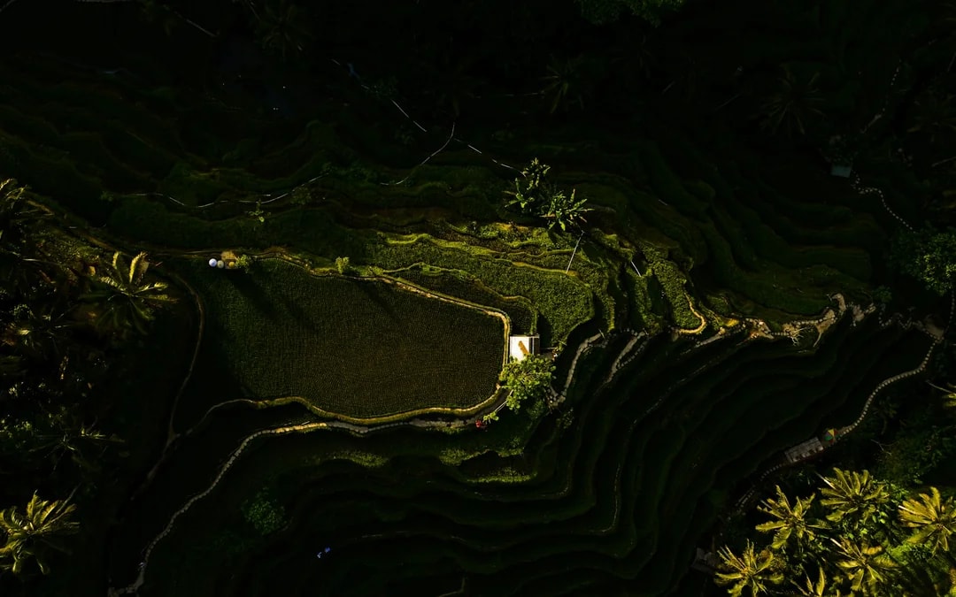 Bali Private Instagram Spots Tour Image 4