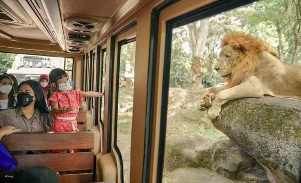 Bali Safari for Non-Indonesian ID Holder in Bali | Indonesia