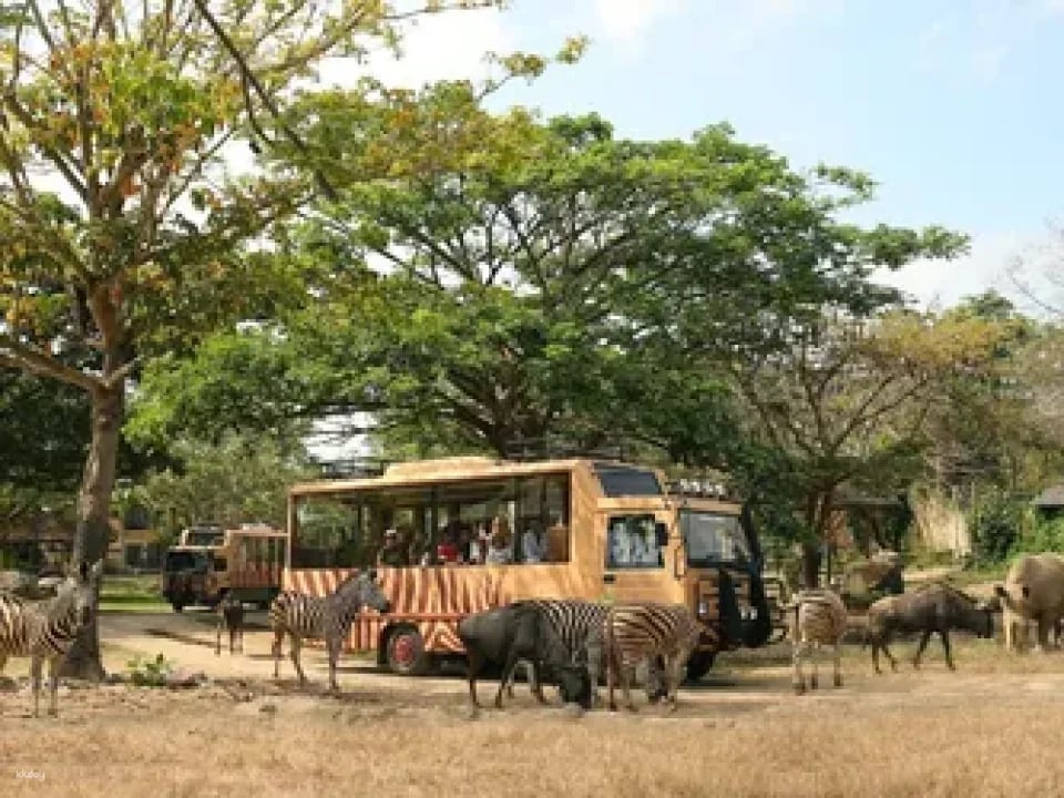 Bali Safari for Non-Indonesian ID Holder in Bali | Indonesia