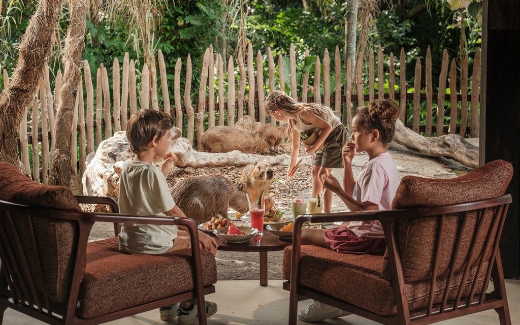 Bali Zoo Combo: Entry Ticket, Breakfast with Orangutans & Elephant Mud Fun Image 5