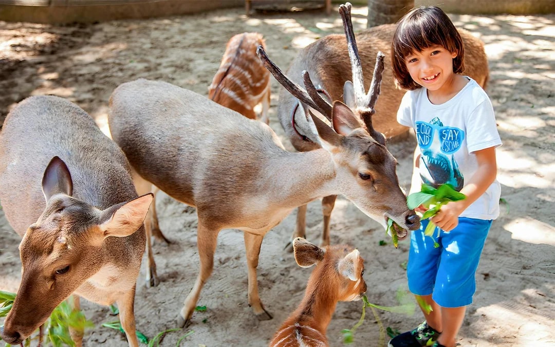 Bali Zoo Combo: Entry Ticket, Breakfast with Orangutans & Elephant Mud Fun Image 8