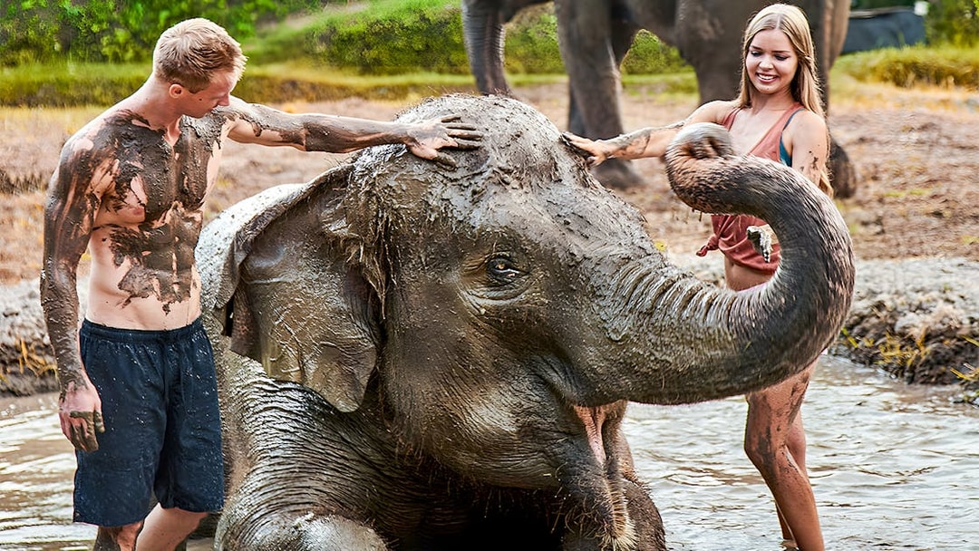 Young couple enjoying a mud bath with an elephant at Bali Zoo.